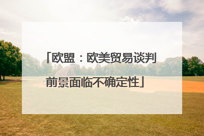 欧盟：欧美贸易谈判前景面临不确定性